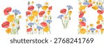 summer designs, floral posters with red and golden poppies, daisies and blue cornflowers, greeting cards , vector templates with drawing flowering wild plants, hand drawn botanical illustrations