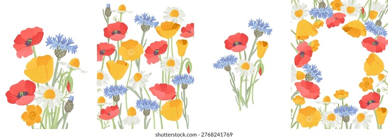 summer designs, floral posters with red and golden poppies, daisies and blue cornflowers, greeting cards , vector templates with drawing flowering wild plants, hand drawn botanical illustrations