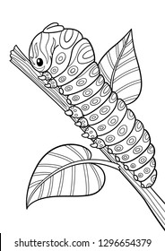 caterpillar story coloring pages