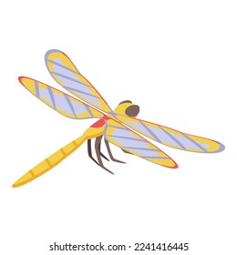 Summer dragonfly icon isometric vector. Wing insect. Shape bug