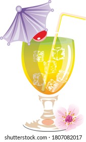 summer drinks non alcoholic and alcoholic cocktail on white background
