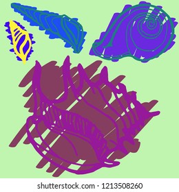 Summer elegant kit animal shell multicolored sea.