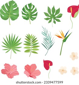Summer elements with tropical leaves, palm leaves, hibiscus, frangipani, Heliconians and Anthurium flowers