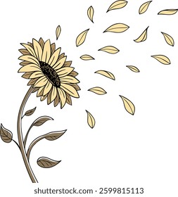 Summer Elements Vector Set   Beach, Tropical and  Seasonal Icons for Designs, Sunflower with Falling Petals   Artistic Vector Design, Falling Petals Sunflower  Golden Botanical Art, Dynamic Sunflower