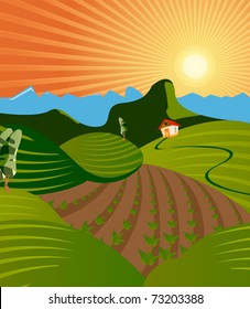 Summer evening landscape
