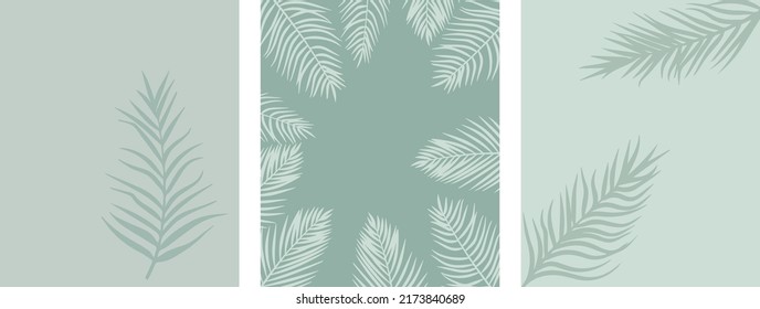 fondos exóticos de verano con ramas de palmera