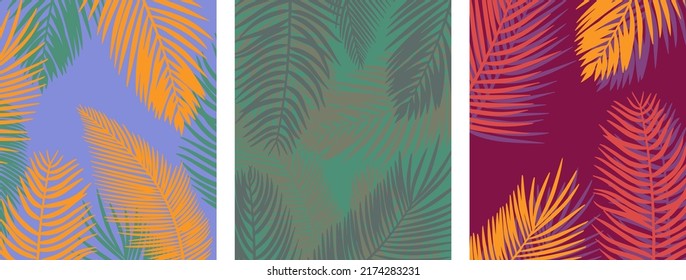 summer exotic backgrounds with palm branches