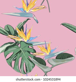 Summer exotic floral tropical strelitzia flower wallpaper. Pattern vector seamless on the pink background.