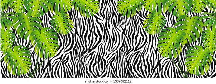 Summer exotic forest plant print tropical banana leaves. black and white zebra pattern background in vector floral background. Nature wallpaper.