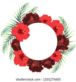 Summer exotic Hawaiian flyer design with green tropical plants, palm leaves and hibiscus flowers. Circle element with text placeholder. Design element on white background. Place for text. 