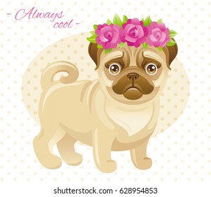 Summer fashion pug, french bulldog breed puppy. Dog in sweet clothes, rose flowers wreath. Cute cartoon hipster vector illustration isolated on polka dot background. Doggy flat template poster flyer