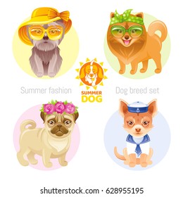 Summer fashion puppy dog icon set in sweet retro clothes. Terrier, pomeranian spitz, chihuahua, pug breed. Hipster cartoon vintage vector illustration isolated white background Text lettering pet logo