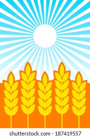 Summer field  