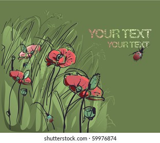 summer field with bugs and flowers