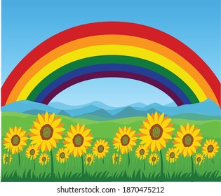 Sommerfeld, Regenbogen, heller Himmel