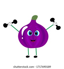 Summer fig  fresh ripe  tropical fruits for healthy lifestyle. Vector illustration cartoon  isolated on white.