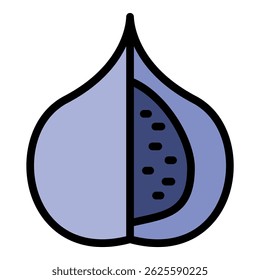 Sommer-Feigensymbol. Umriss Sommer Feige, Vektorsymbol, Farbe, flach, einzeln