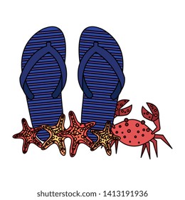 summer flip flops and crab with starfish