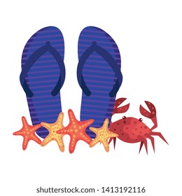 summer flip flops and crab with starfish