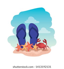 summer flip flops and crab with starfish