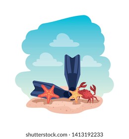 summer flip flops and crab with starfish