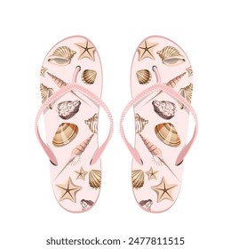 Summer flip flops with seashells,pair,isolated on white background.Vector illustration of beach shoes for summer designs.