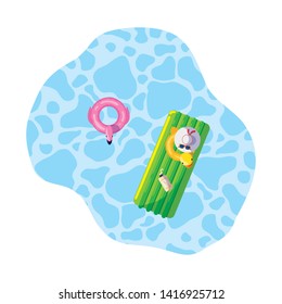 summer floats pad and duck floating in pool