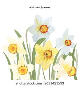 Summer floral art on white background vector illustration. Watercolor hand painted botanical, daffodil flower, foliage. Design for wallpaper, banner, card, print, wedding.
