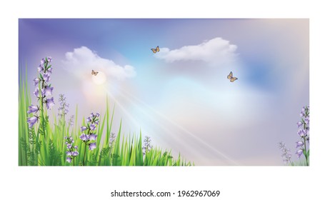 Summer floral background with bellflowers (carpatica), grass and butterflies against the sky with clouds and sunbeams. Environmental protection concept. Vector illustration. 