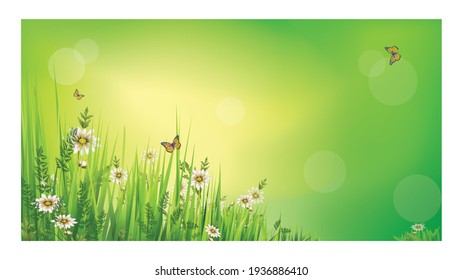 Summer floral background with daisies, grass and butterflies. Environmental protection concept. Vector illustration. 