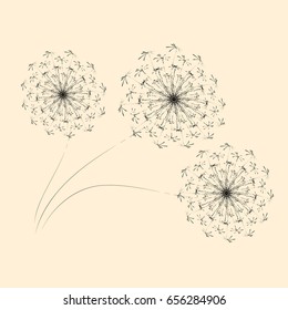 Summer floral background of stylized dandelions. For the design of postcards, brochures, flyers.