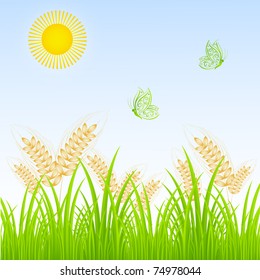 Summer floral background with the sun, grass and wheat.