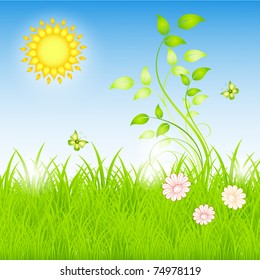 Summer floral background with the sun and grass.
