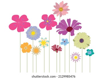 Fondo floral de verano, flores silvestres multicolores del jardín floreciente vectorial, Ilustración natural botánica sobre el blanco en el estilo dibujado a mano.
