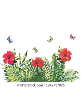 Summer floral composition red hibiscus flowers butterflies tropical plants white background. Vintage vector