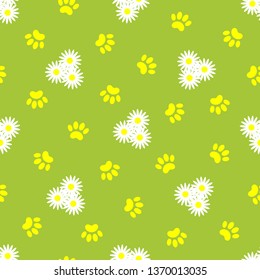 Summer floral green natural seamless pattern background with animal pet paw prints and white daisies.