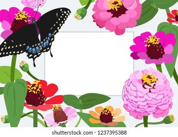 Summer floral greeting card. Zinnia flowers, Black butterfly, garden, joy and happiness. Hand drawn vector illustration in vibrant flat colors.
