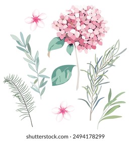 Summer floral set. Vector  illustration with hydrangea. Vintage botanical plant