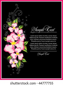 summer  flower