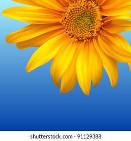 Summer flower background