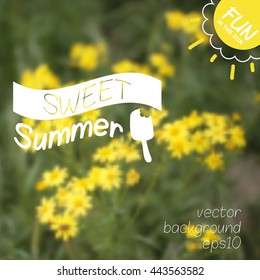 Summer flower background with beautiful yellow daisy.Vector design for print or web.