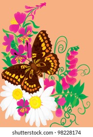 Summer flower background with a butterfly