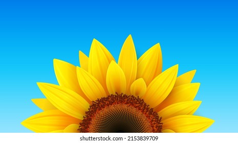 Summer flower background with sunflower and blue sky, vector illustration.