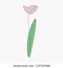 Summer flower background, vector illustration