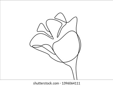 Summer flower continuous line drawing