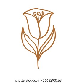 summer flower hand drawn element