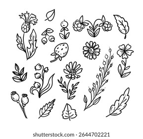 Summer flower line art set. Seasonal decorative element. Doodle botanic. Hand drawn floral illustration titled