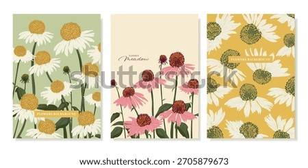 Summer Flower Posters. Abstract drawing of Echinacea purpurea. Flat design of white and pink flowering plants for backgrounds, postcards, covers