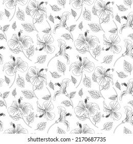 Summer flower seamless pattern. Tropical flowers linear monochrome background. Hibiscus flower with leaves realistic repeatable backdrop.