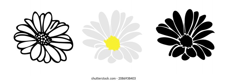 Summer flower set, camomile daisy head for design, silhouette outline and coloring clip art.Vector illustration isolate on white background   